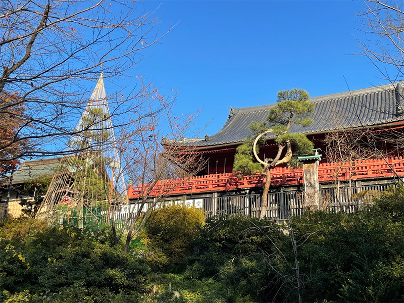 庭園画像